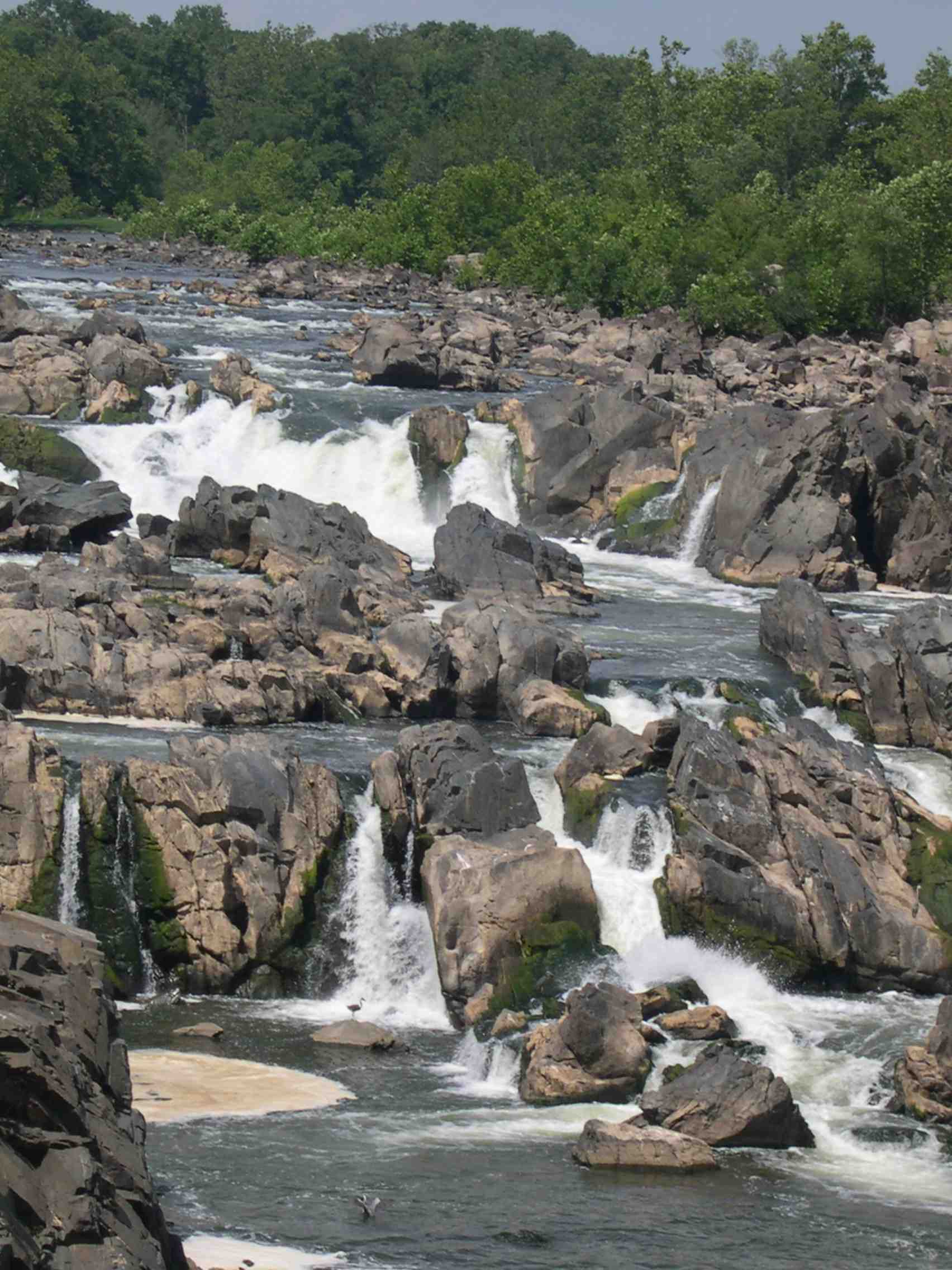 Potomac rapids.jpg